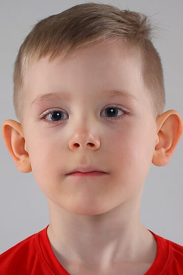 Владимир Домбровский