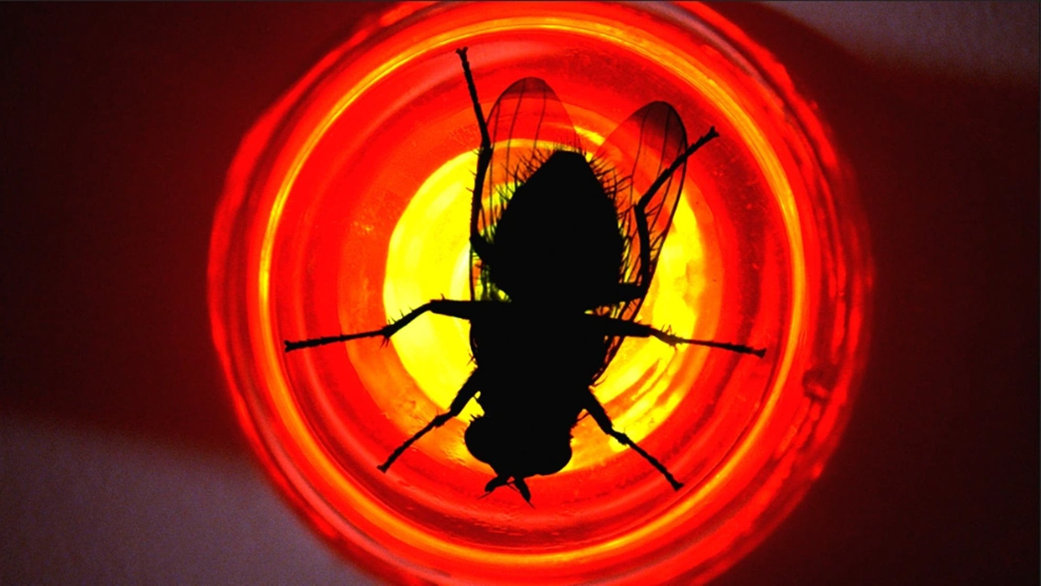 Сезон 3 Серия 10