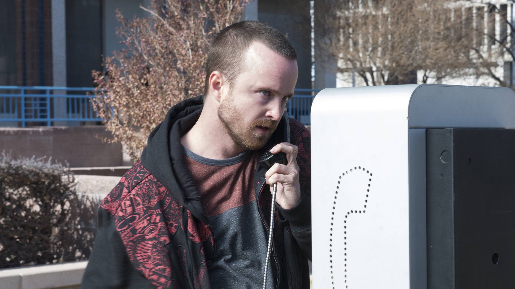 Сезон 5 Серия 12