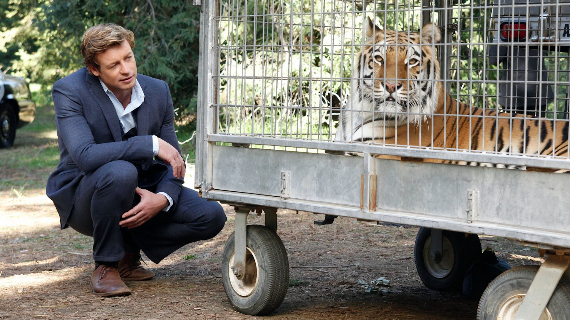 Сезон 4 Серия 18