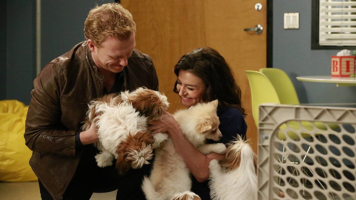 Сезон 12 Серия 14