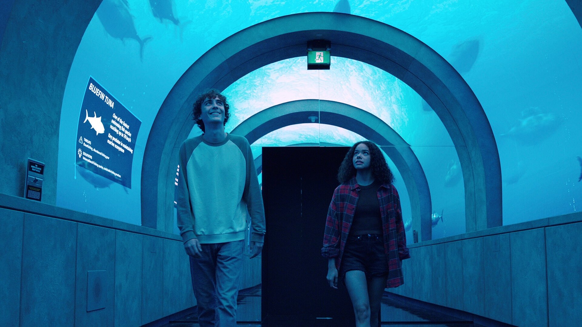 Сезон 3 Серия 5