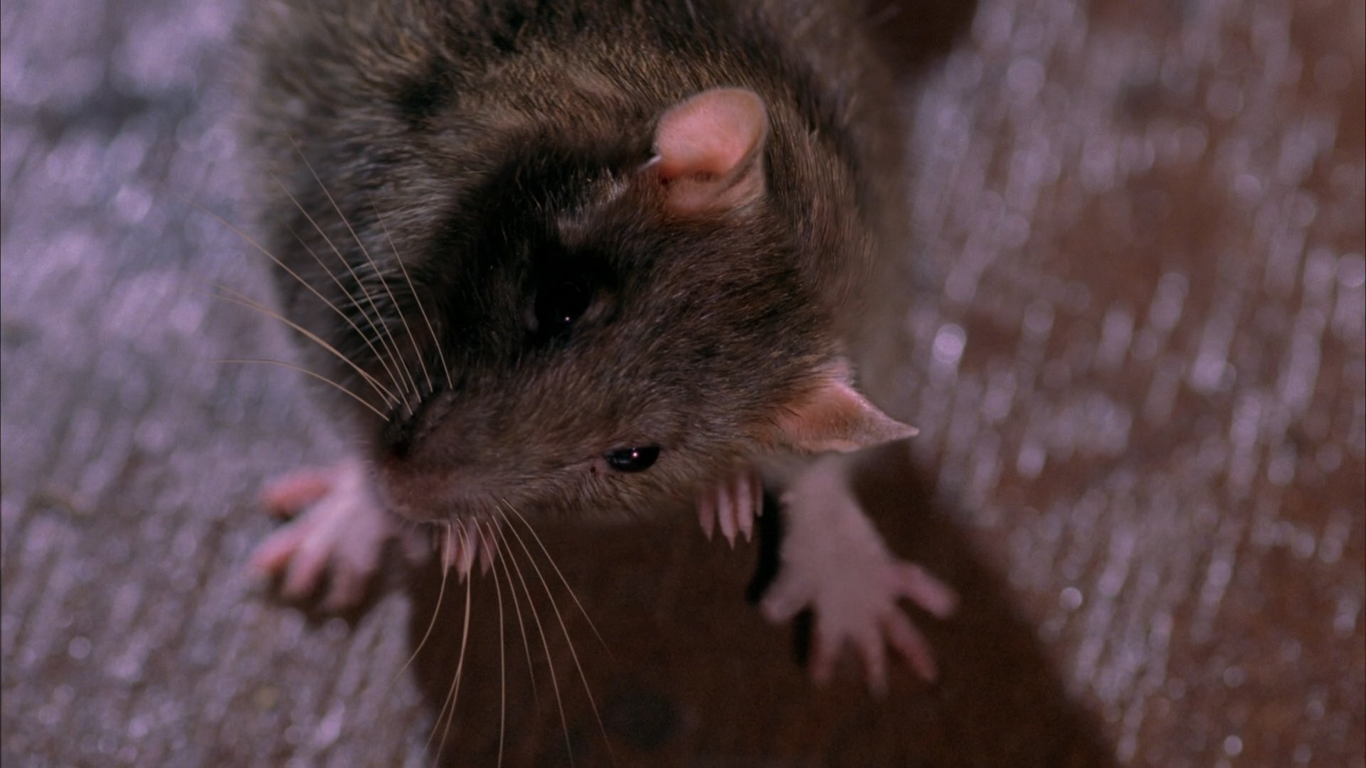 Сезон 2 Серия 7