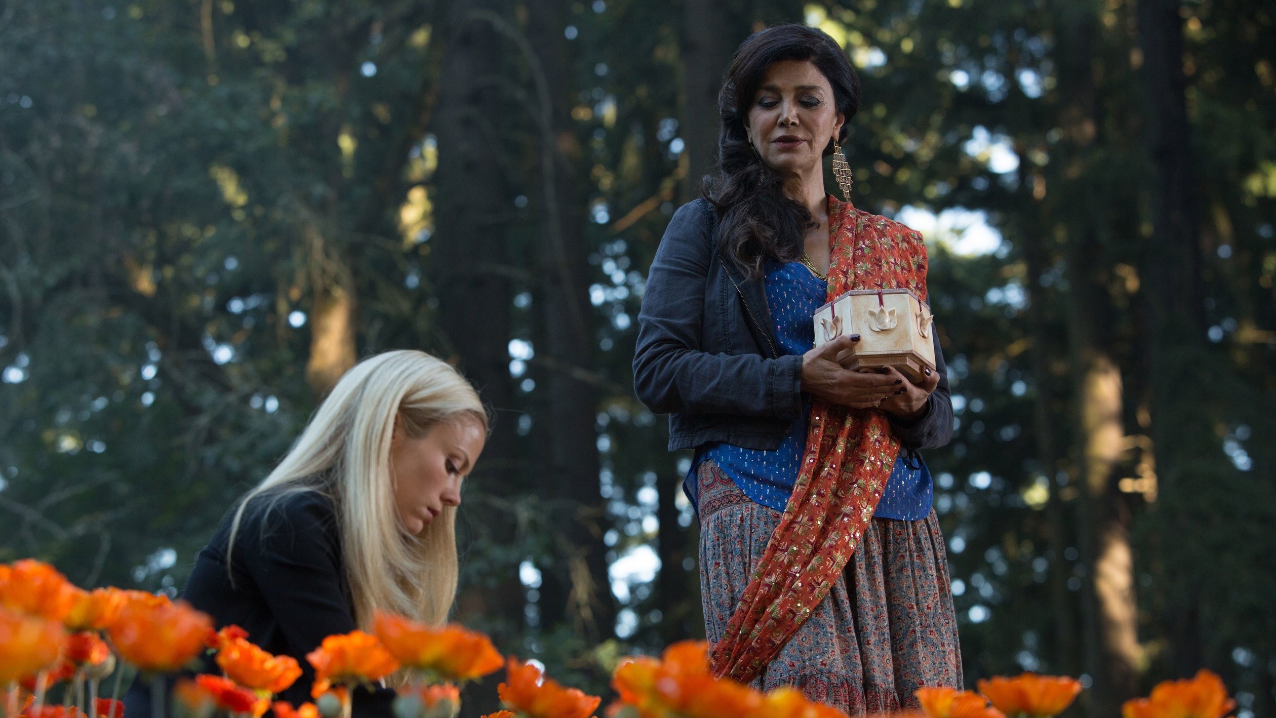 Сезон 3 Серия 1