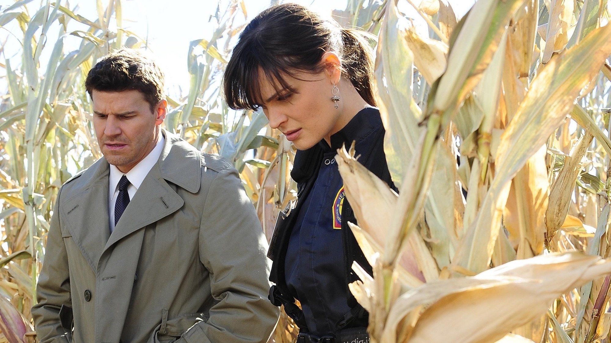 Сезон 6 Серия 12