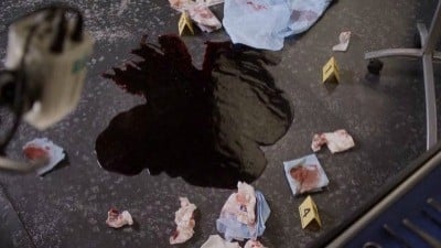 Сезон 8 Серия 15