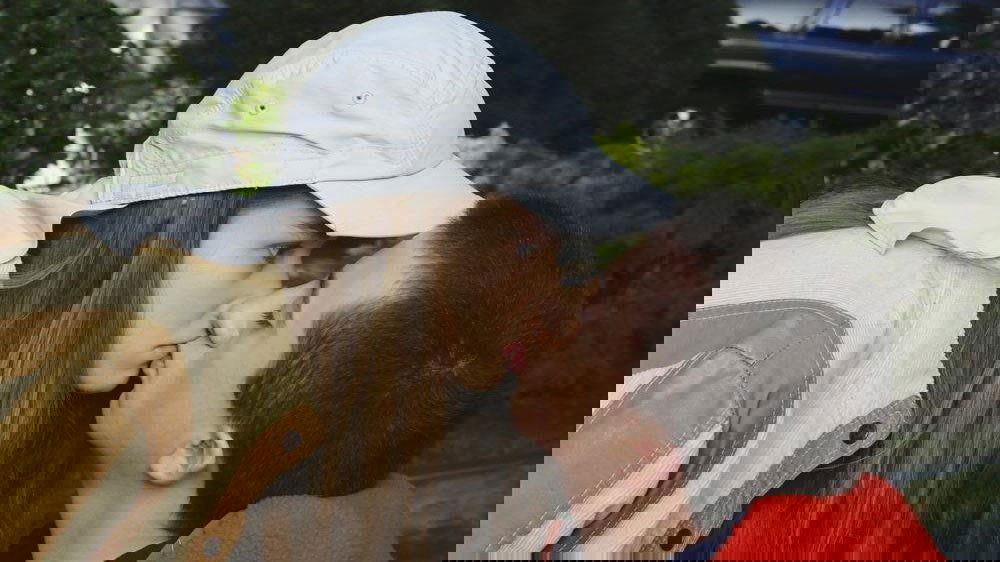 Сезон 6 Серия 13