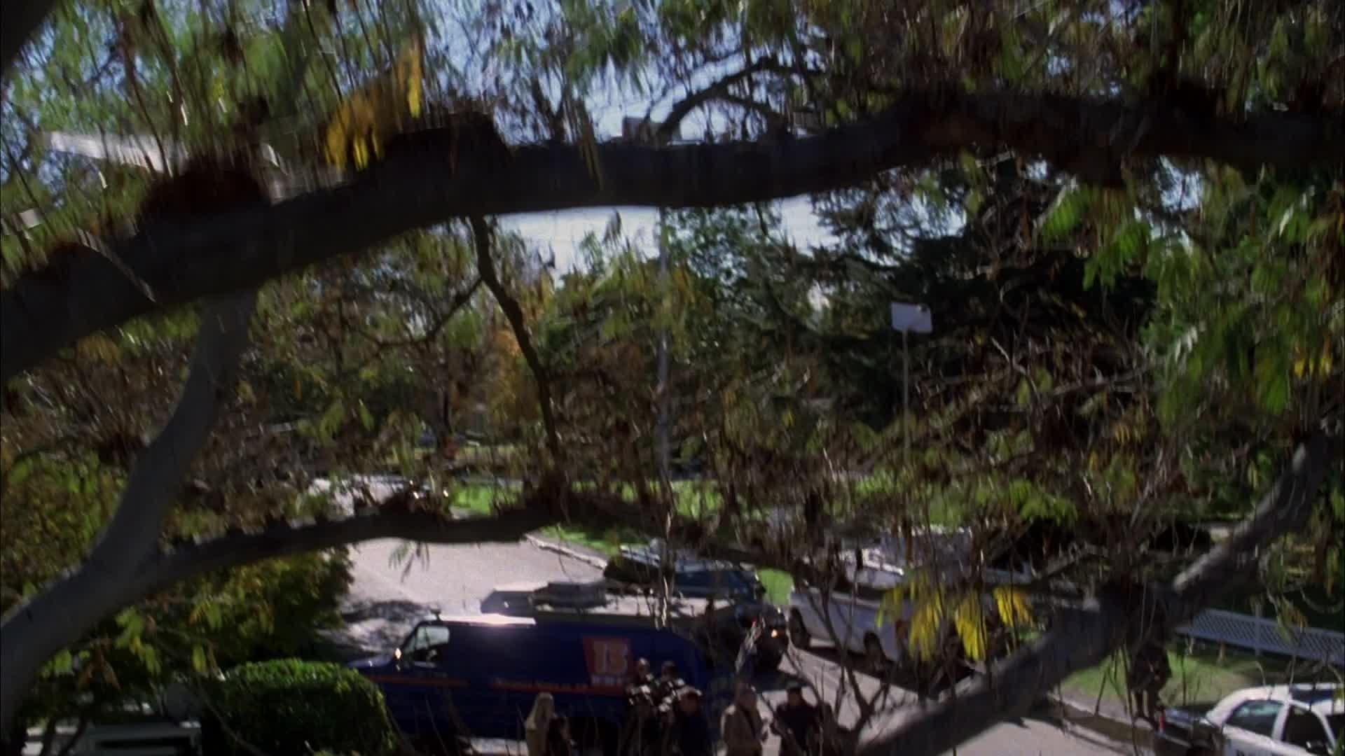 Сезон 1 Серия 12