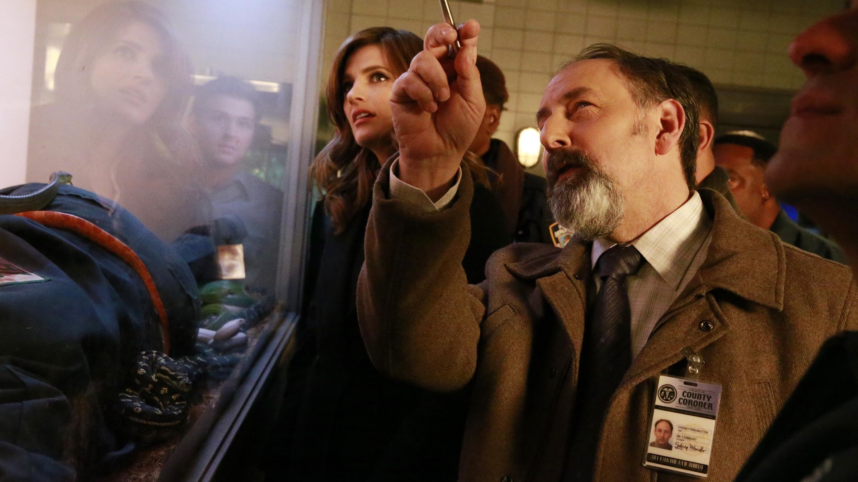 Сезон 8 Серия 13