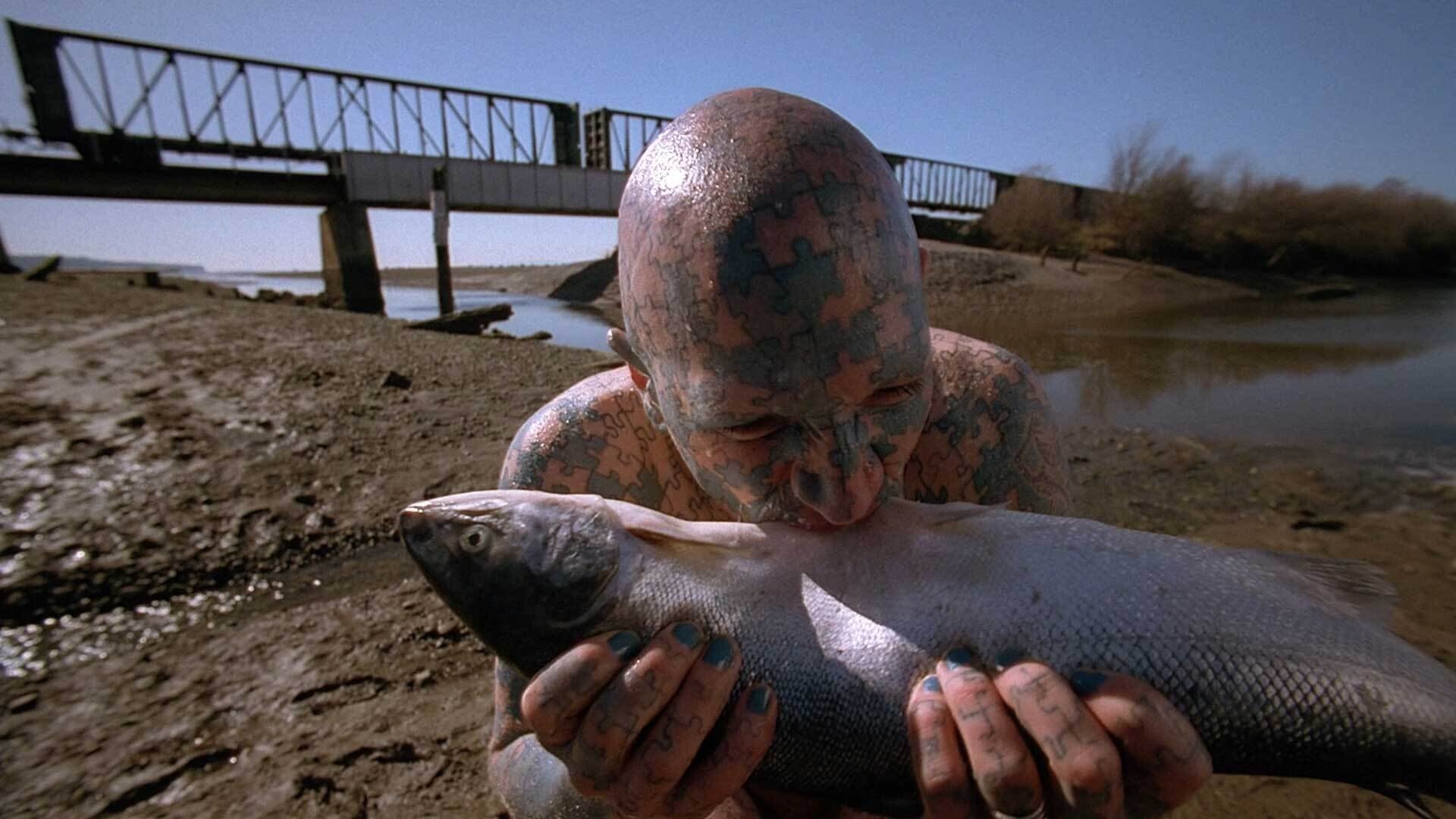 Сезон 2 Серия 20