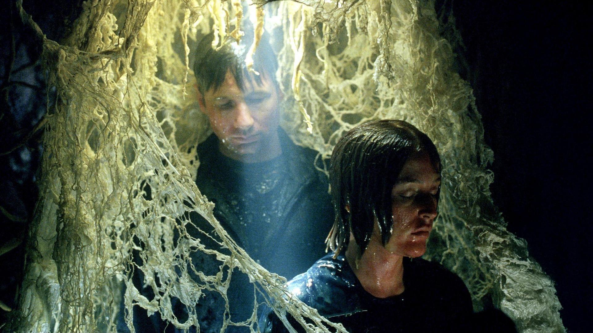 Сезон 6 Серия 21