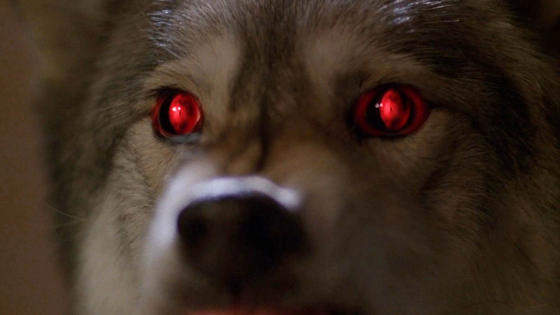 Сезон 6 Серия 16