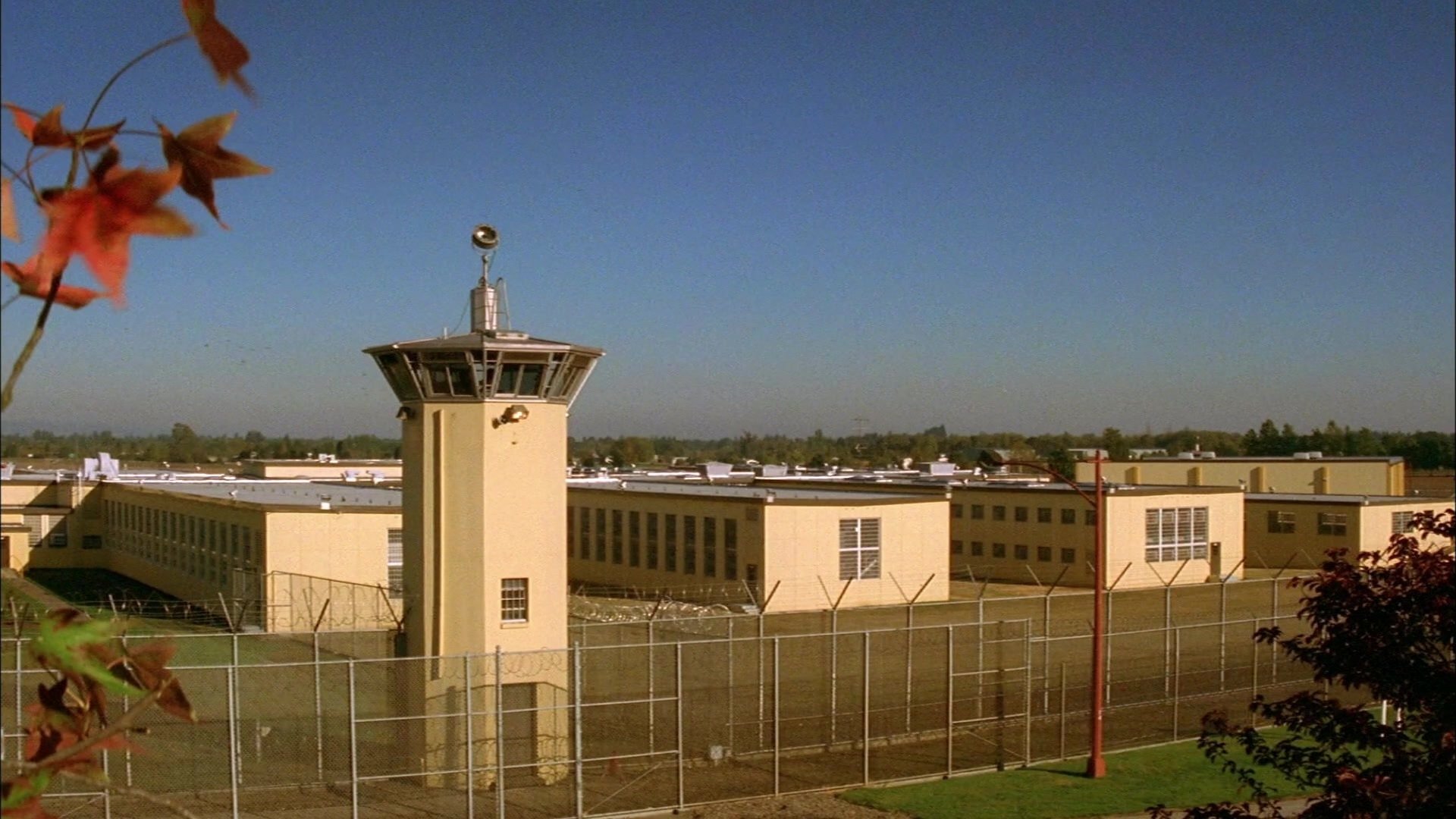 Сезон 1 Серия 5