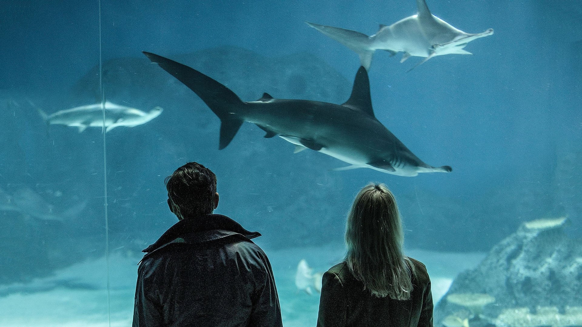 Сезон 4 Серия 5