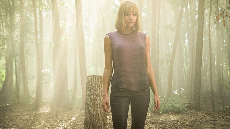 Сезон 3 Серия 13