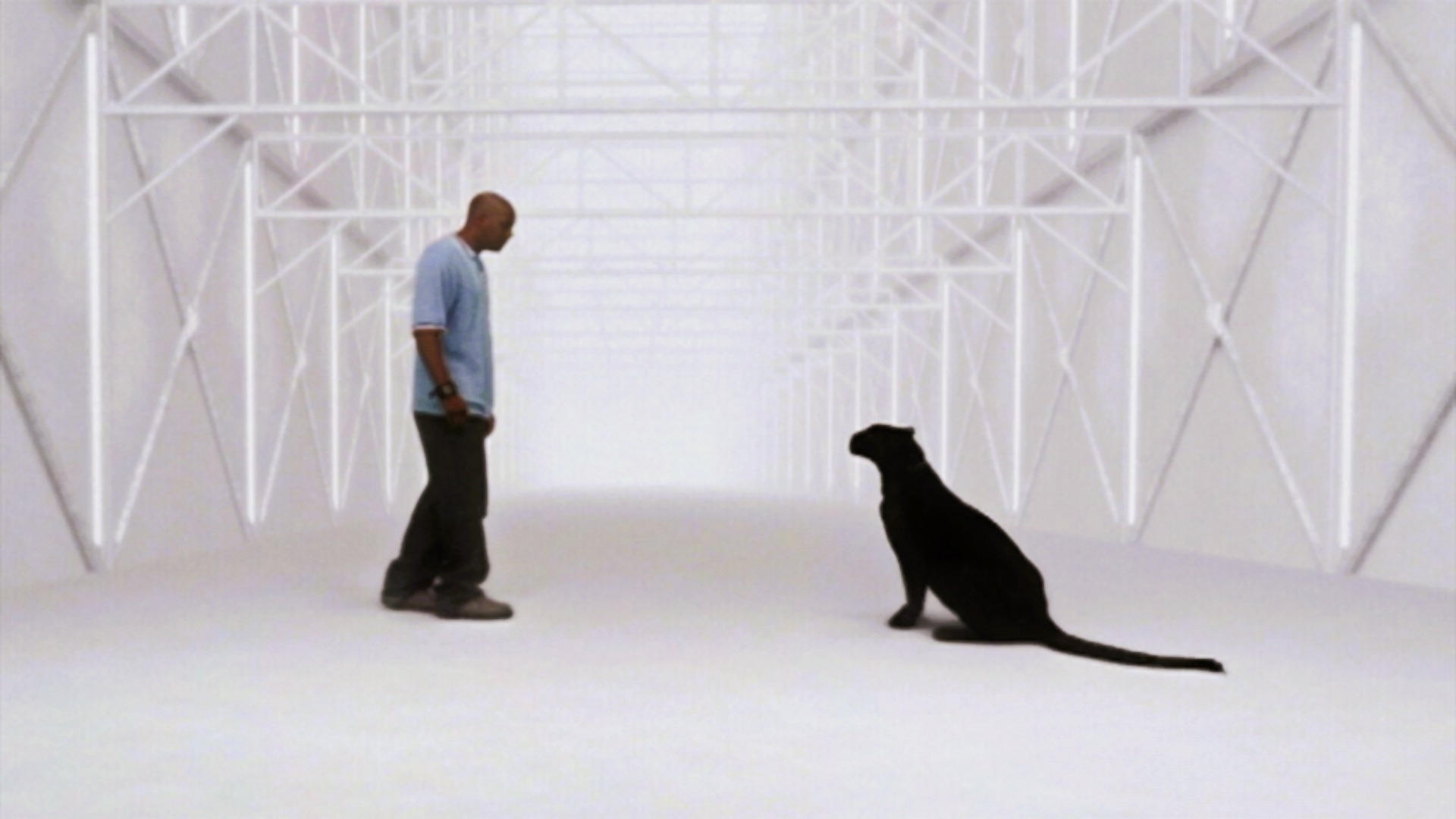 Сезон 4 Серия 22