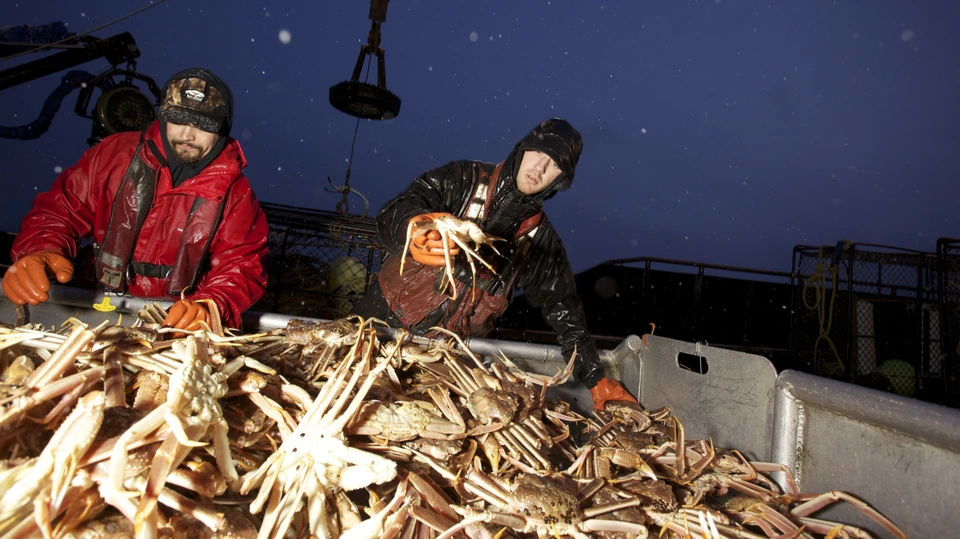 Сезон 8 Серия 18