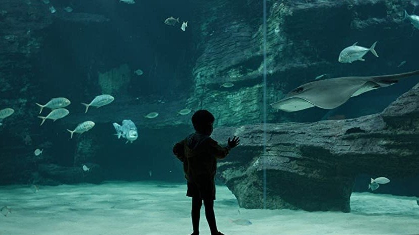 Сезон 1 Серия 7