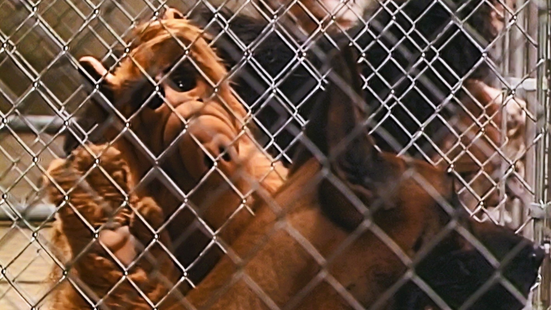 Сезон 1 Серия 3