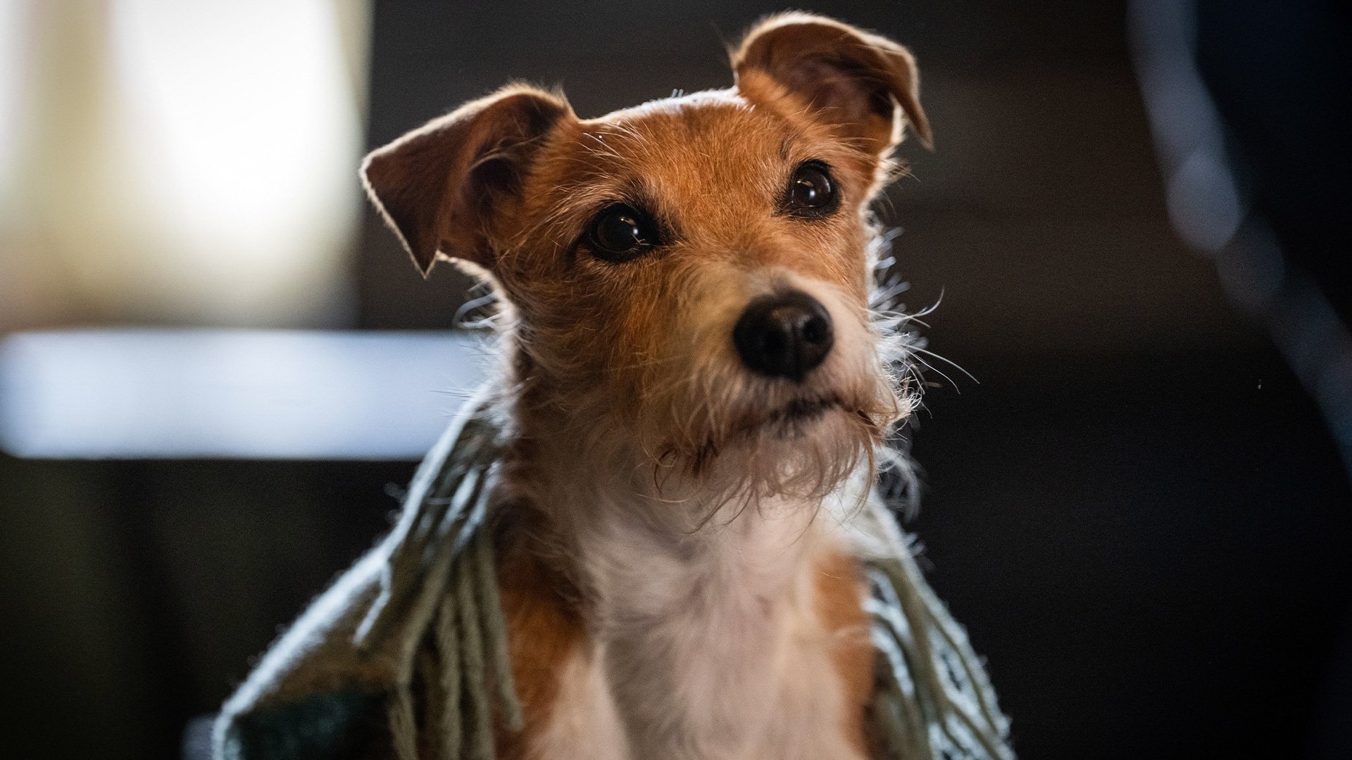 Сезон 12 Серия 6