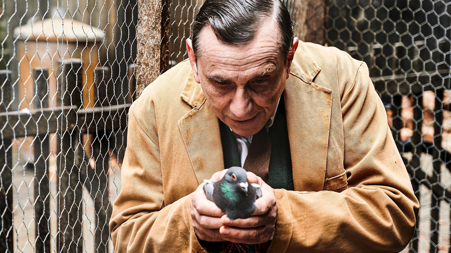 Сезон 9 Серия 4