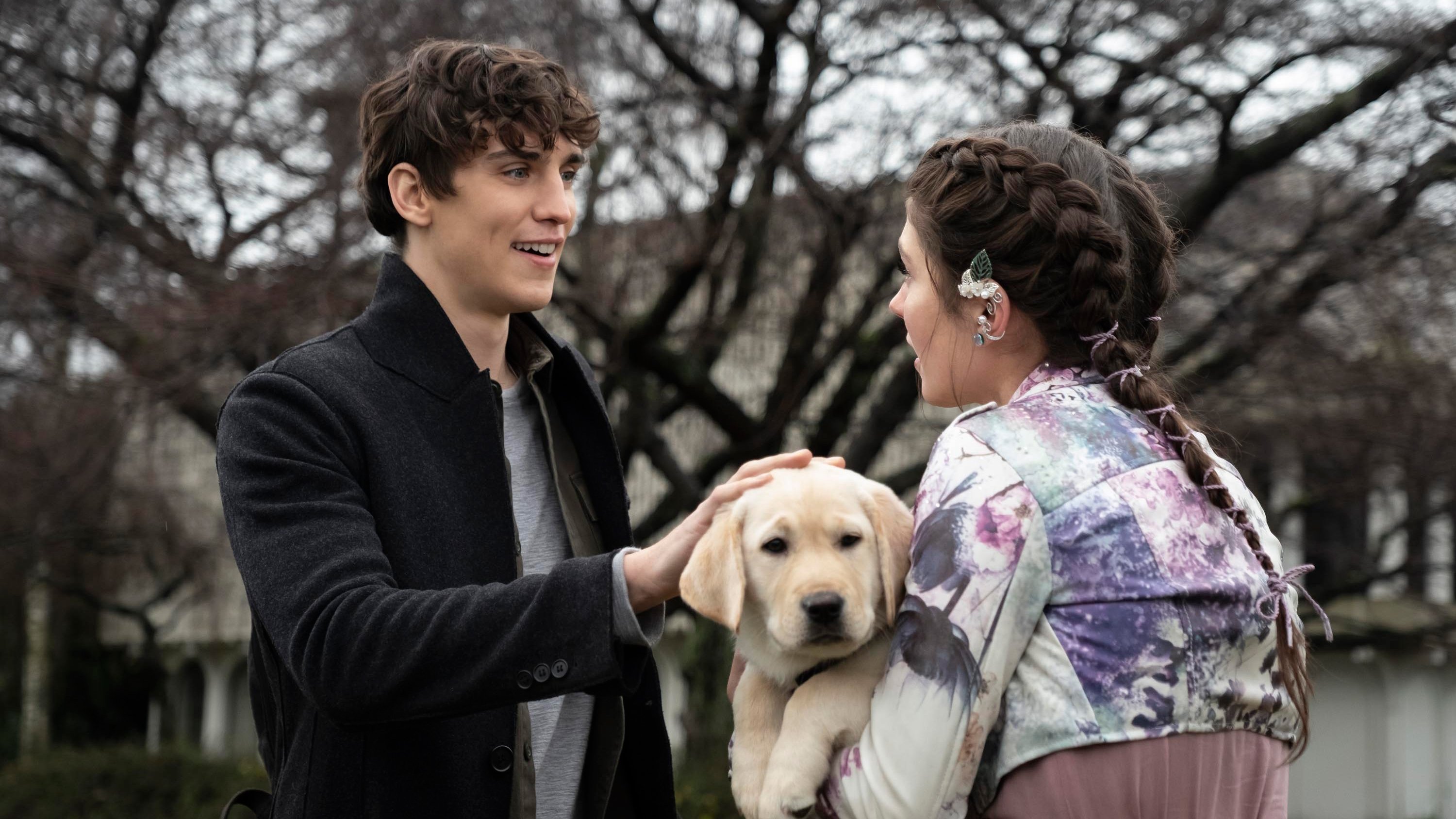 Сезон 1 Серия 13