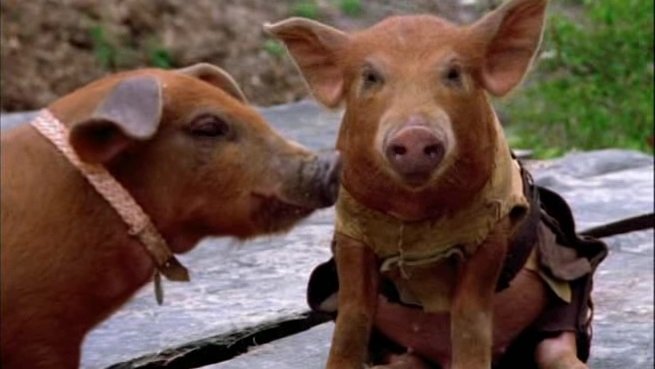 Сезон 4 Серия 16