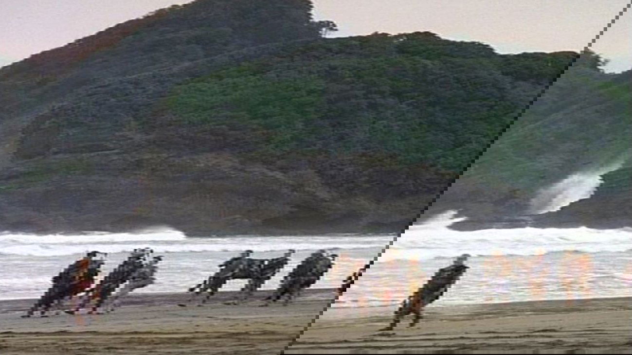 Сезон 1 Серия 8