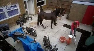 Сезон 4 Серия 2