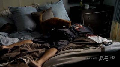 Сезон 1 Серия 5