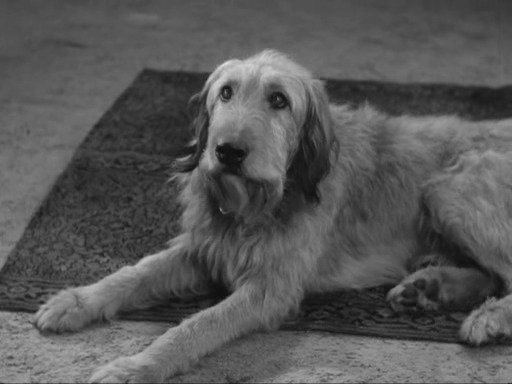 Сезон 5 Серия 23