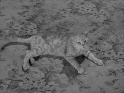 Сезон 3 Серия 12