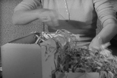 Сезон 2 Серия 23