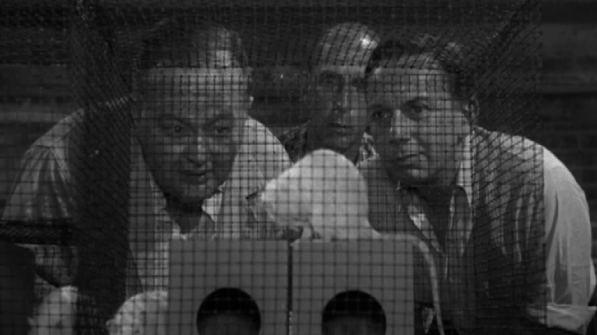 Сезон 2 Серия 3