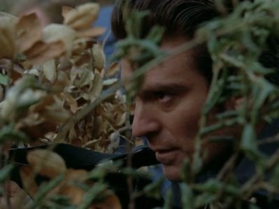 Сезон 3 Серия 8