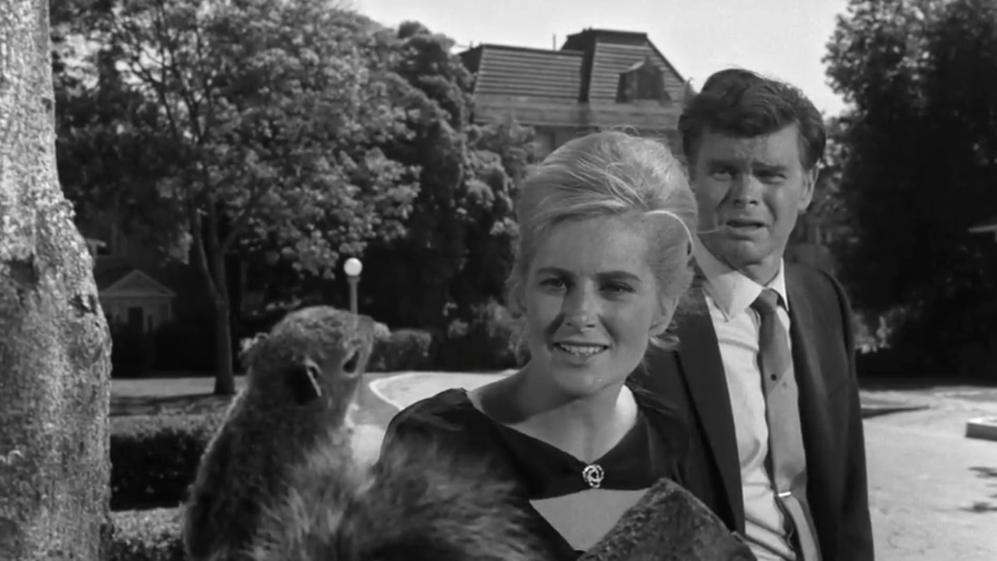 Сезон 5 Серия 30