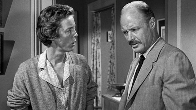 Сезон 3 Серия 25