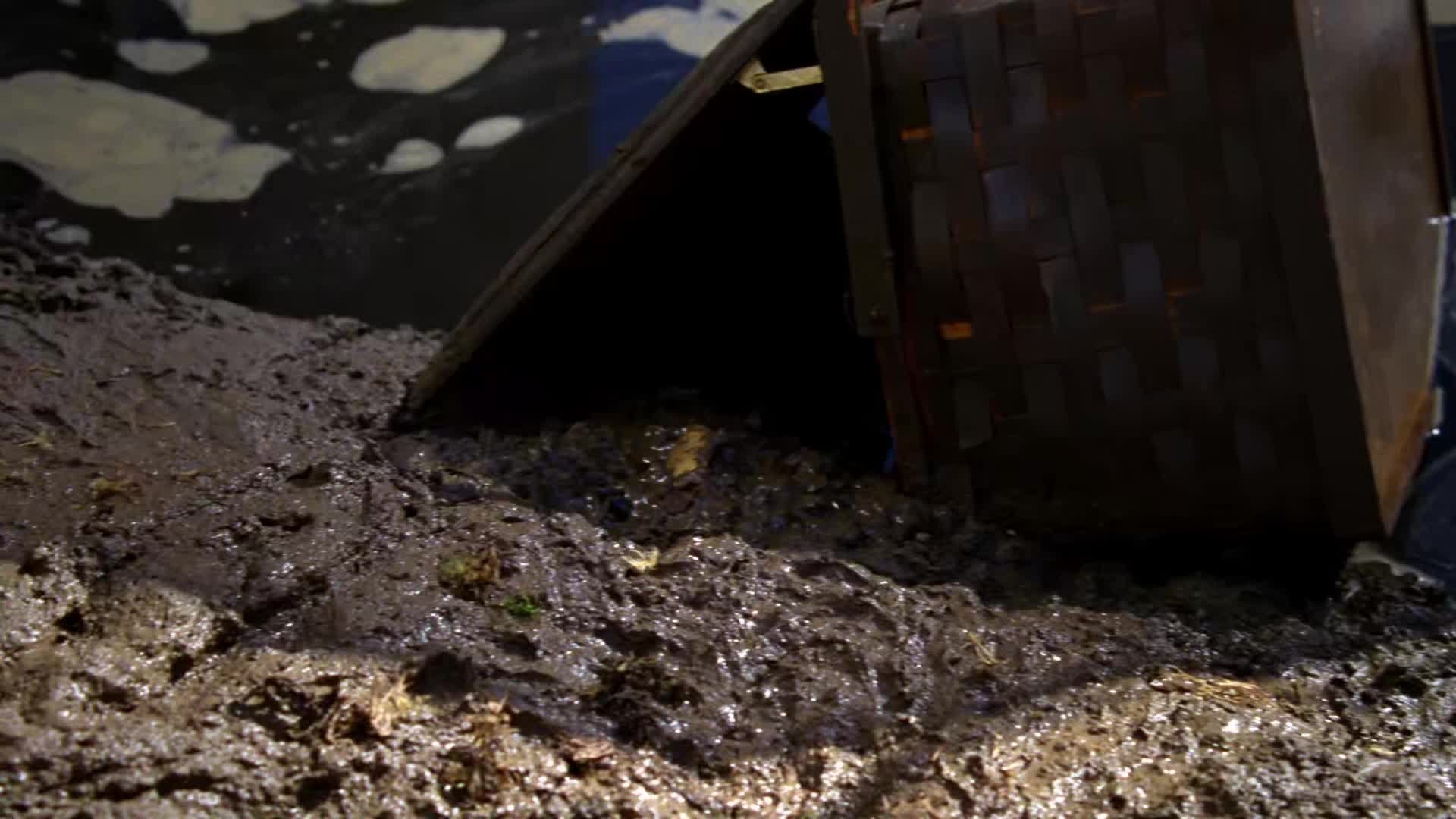 Сезон 9 Серия 6