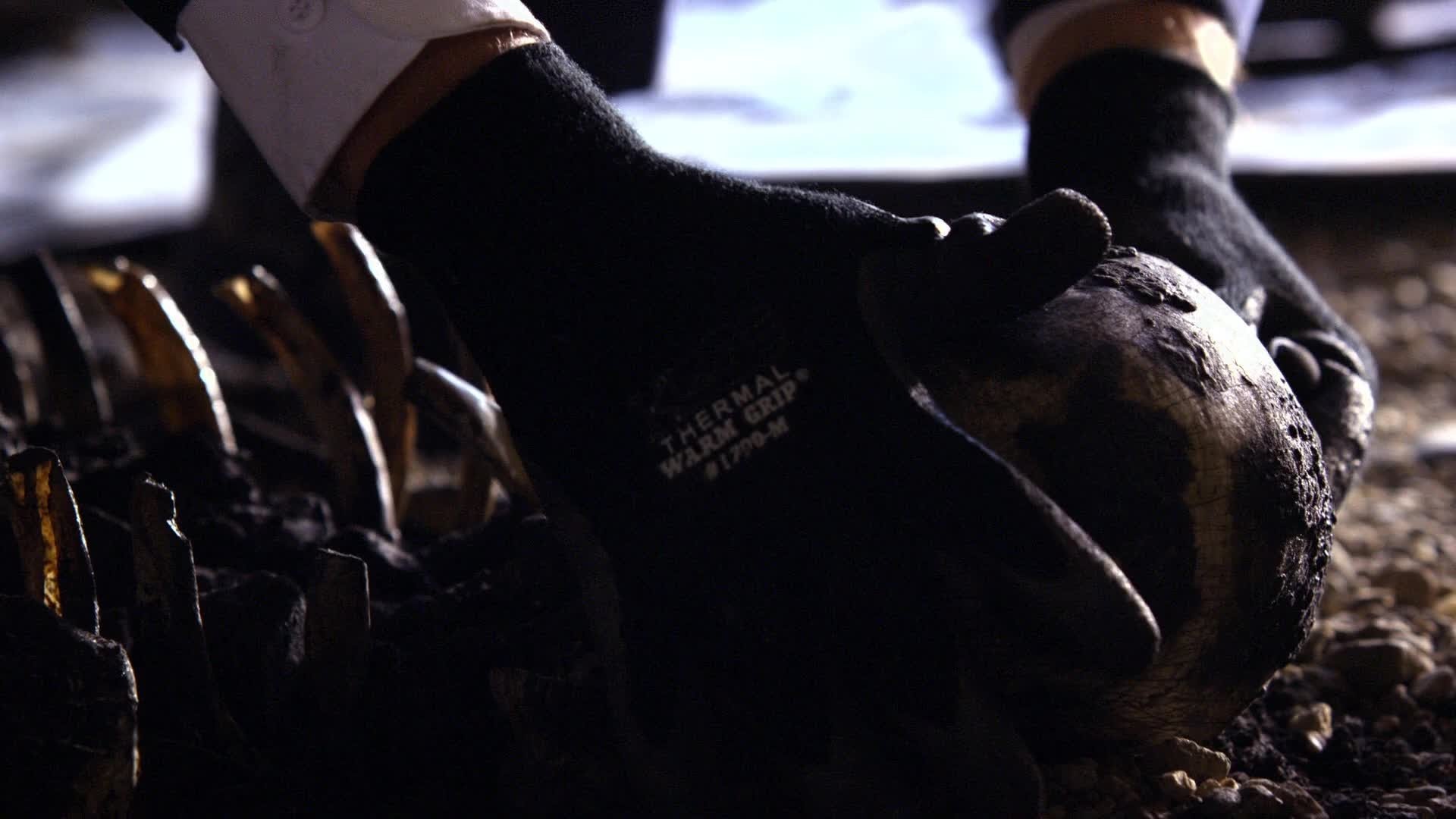 Сезон 8 Серия 10