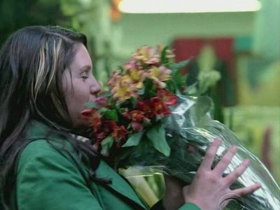 Сезон 4 Серия 13