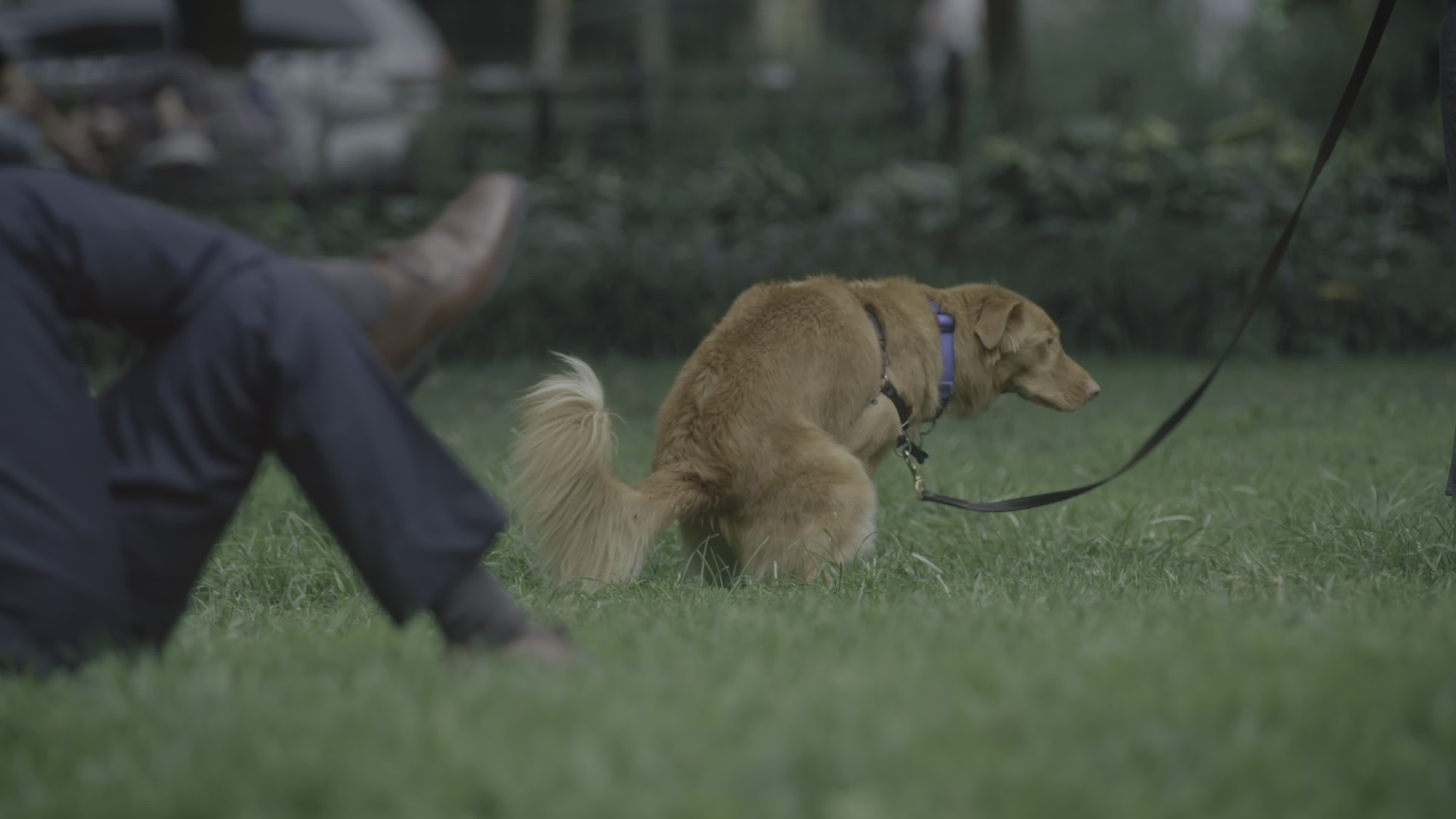 Сезон 1 Серия 3