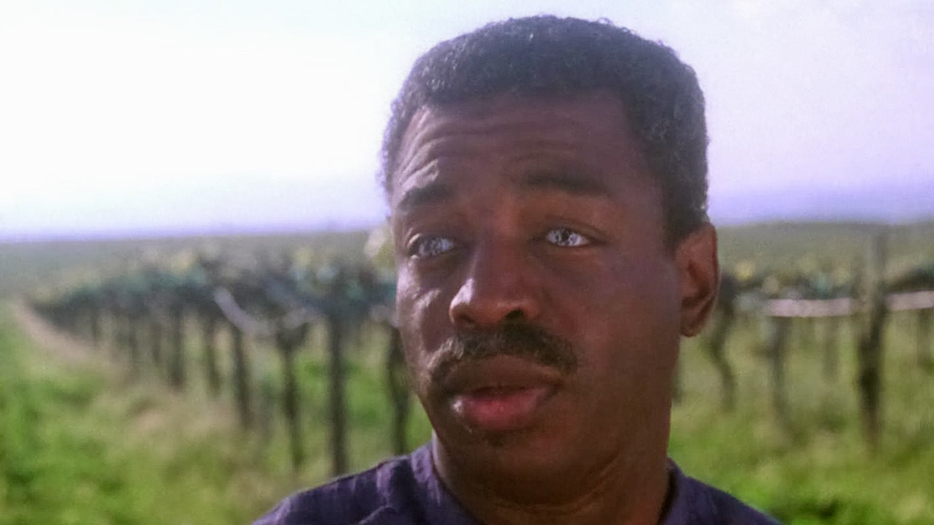 Сезон 7 Серия 25