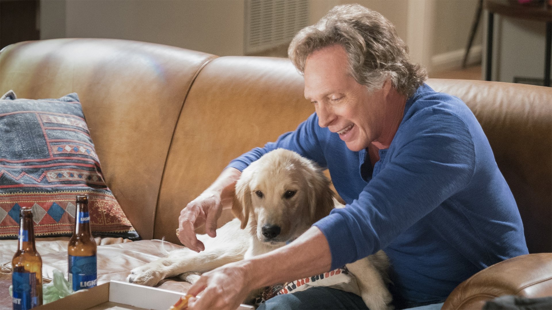 Сезон 5 Серия 21