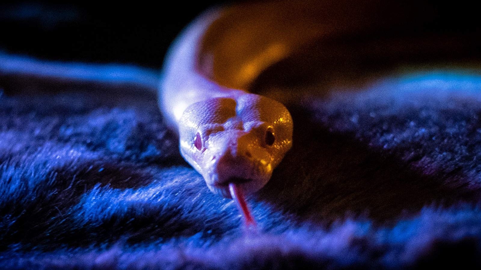 Сезон 1 Серия 6