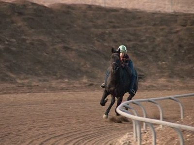 Сезон 3 Серия 12