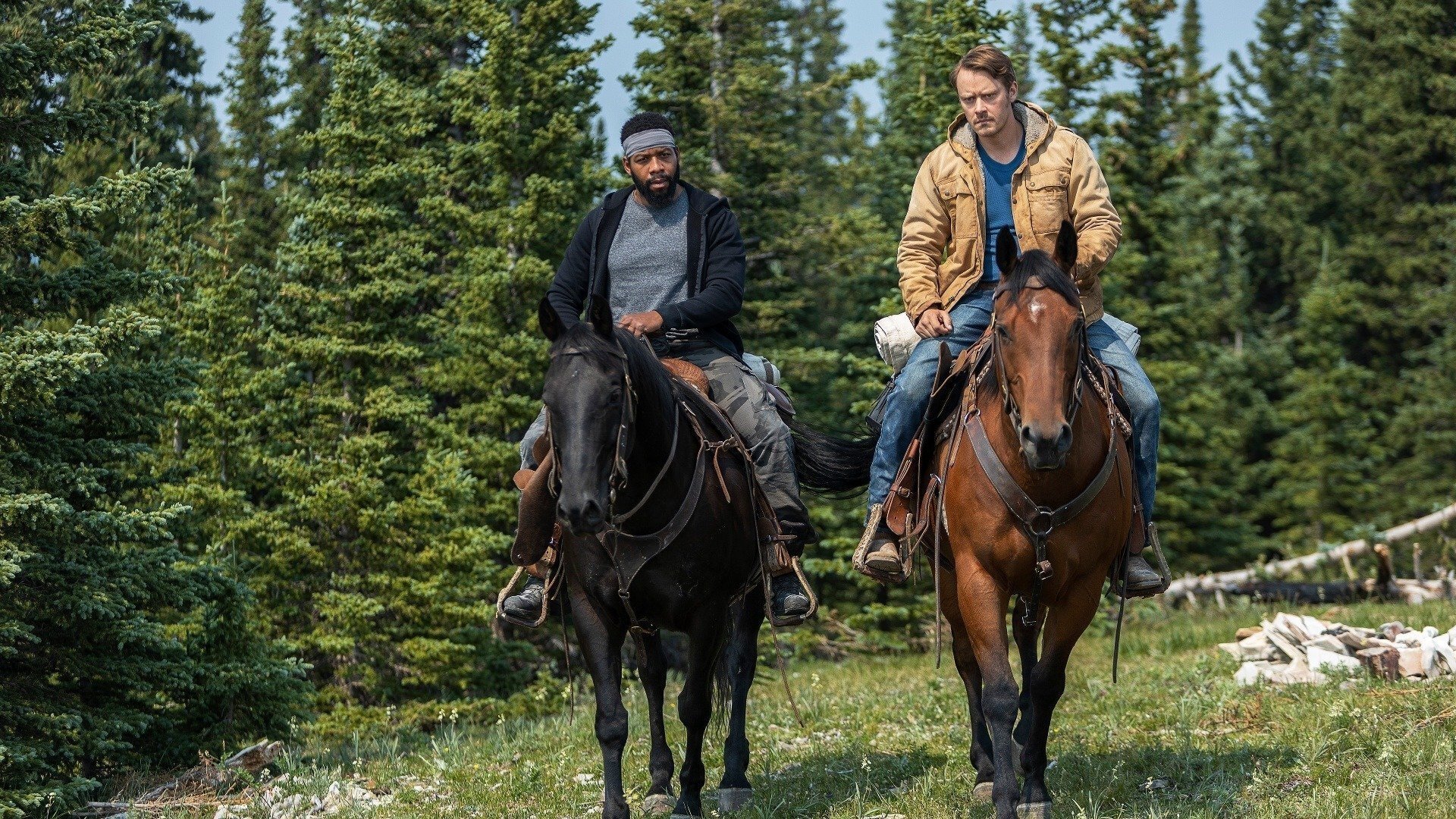 Сезон 1 Серия 8