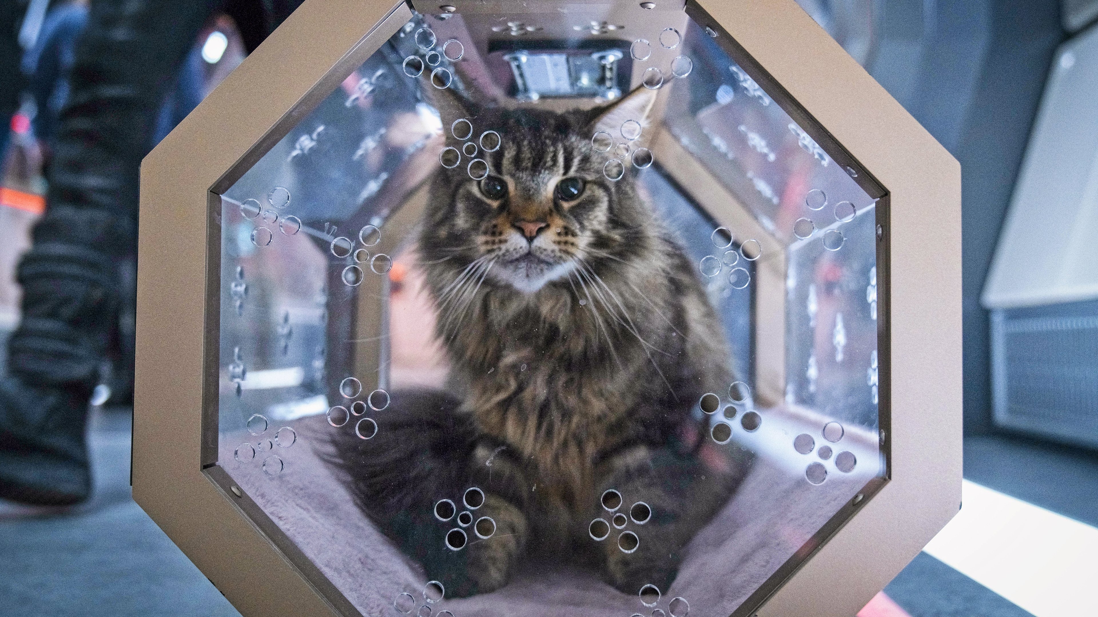 Сезон 4 Серия 6