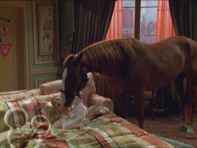 Сезон 2 Серия 5