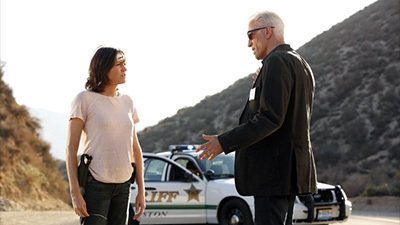 Сезон 14 Серия 10