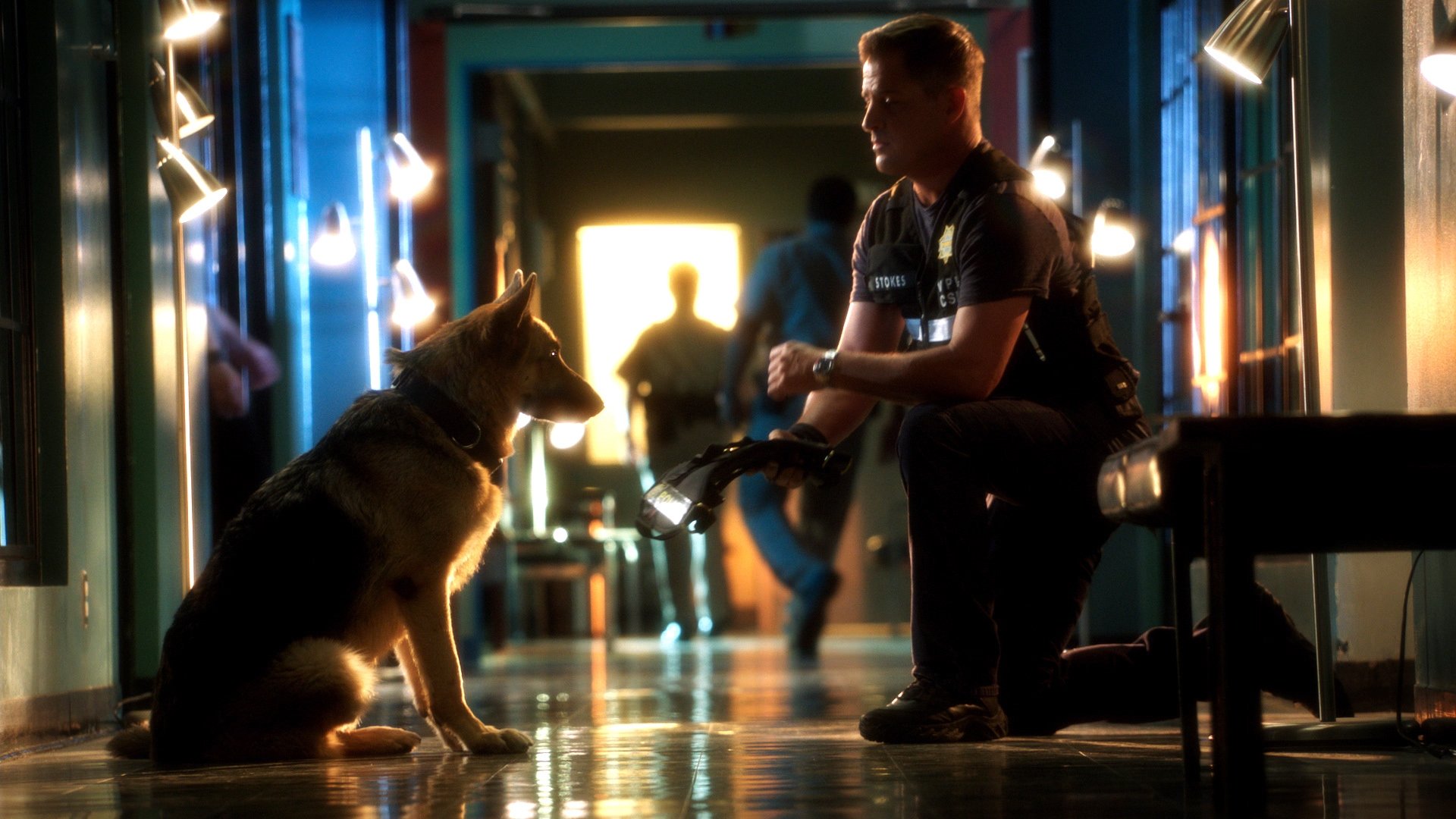 Сезон 13 Серия 5